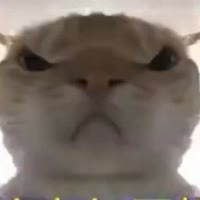 老鼠王